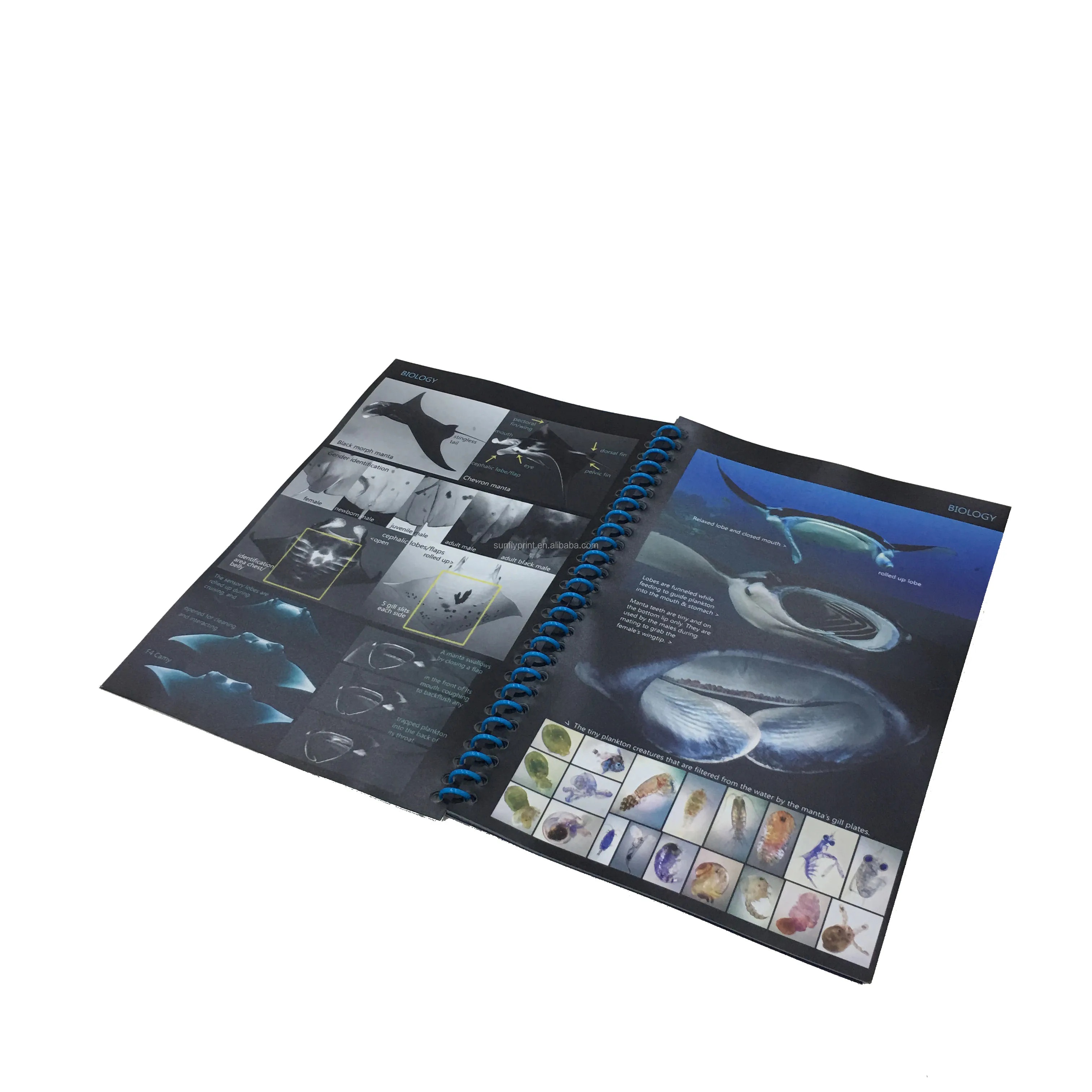 Tyvek paper On Demand Print  waterproof booklet printing/ professional magazine photo book  cheap brochure printing services