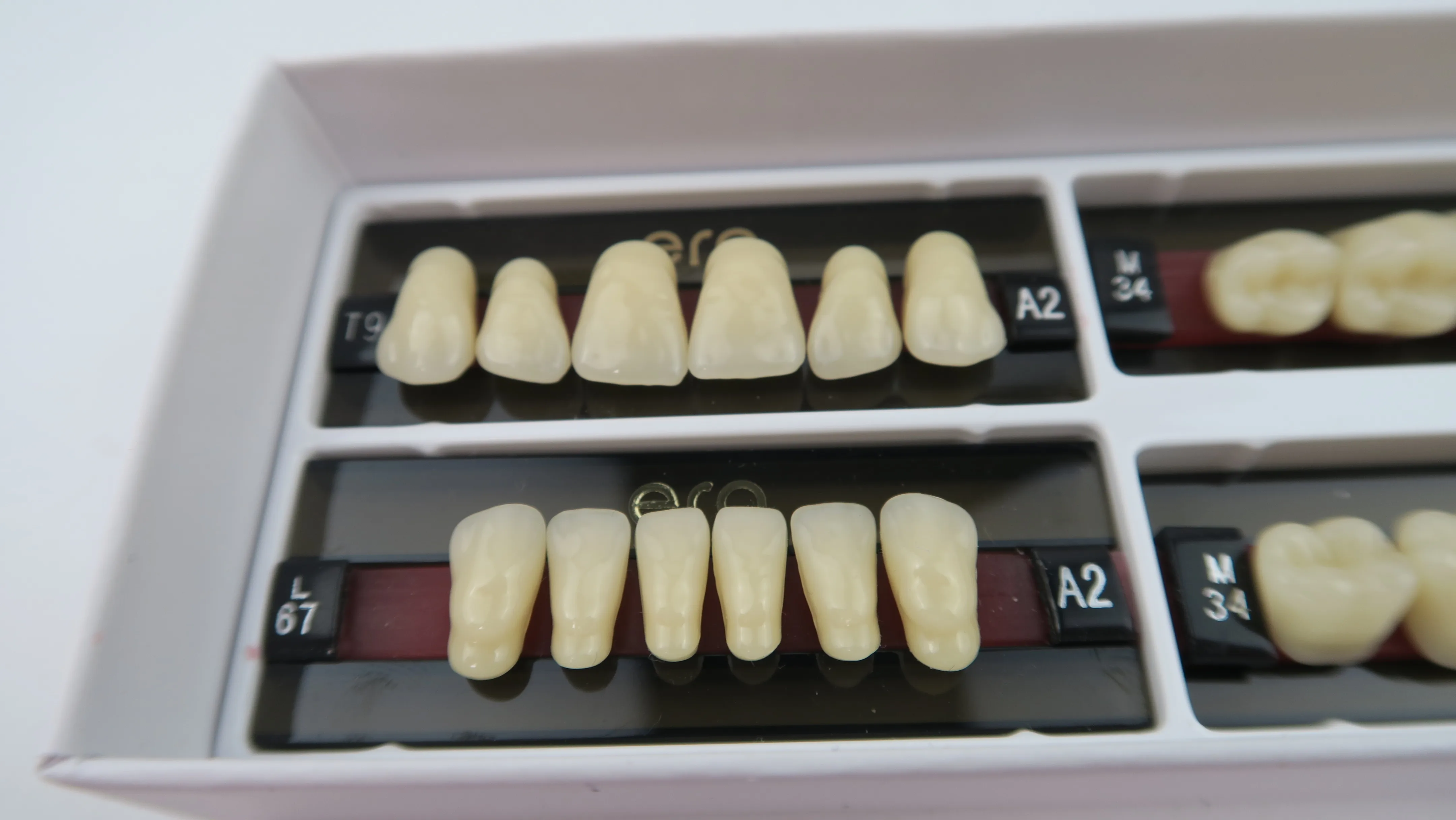 Dental False Teeth 3 layer Anterior Posterior Synthetic Resin Teeth