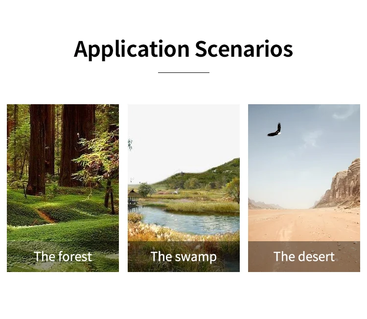 Cssiwe Hot Sale Factory Offer Decoy Bird Sounds Machine Mp3 Hunting Animal Call Electronic Bird Caller with Remote Control