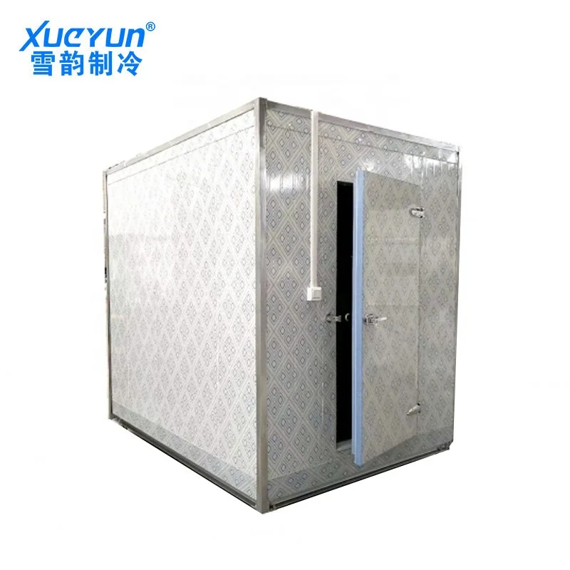 Freezer room refrigeration mini cold storage equipment for meat