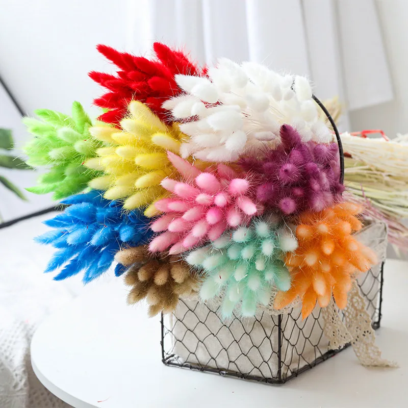 LD Amazon top seller Yunnan source manufacturer flower bouquet dried/preserved flowers Lagurus bunny tail