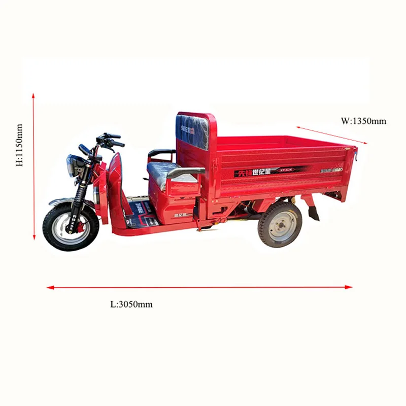 Powerful Motor Farm Use 2000W Motor 60V45Ah Lead Acid Battery Electric Pedicab Cargo Electric Tricycle
