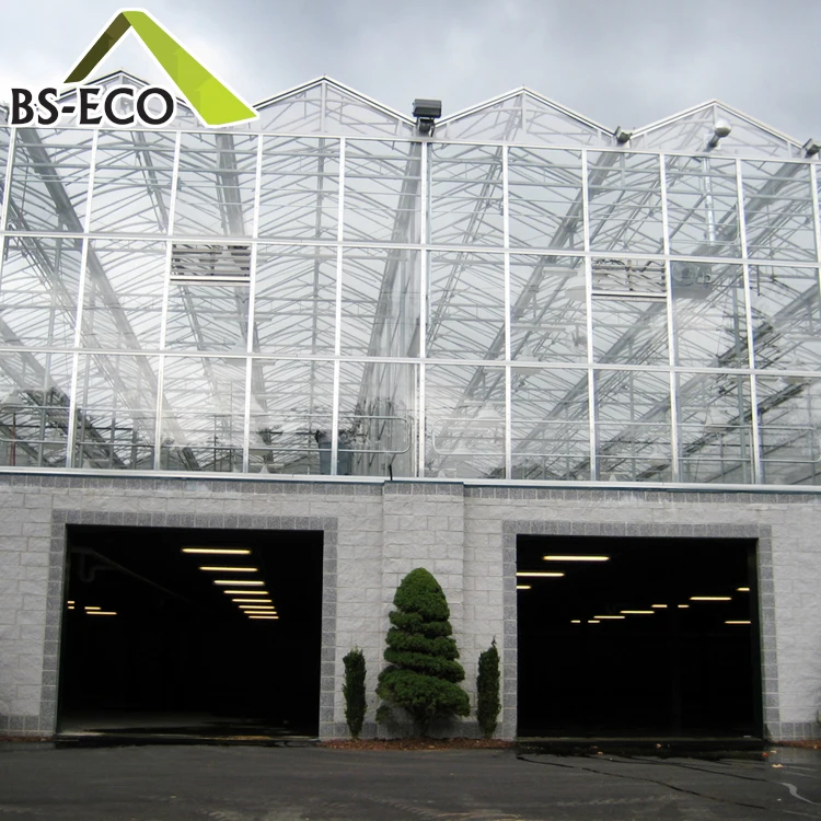 
multi span PC sheet economic polycarbonate agriculture commercial greenhouse 