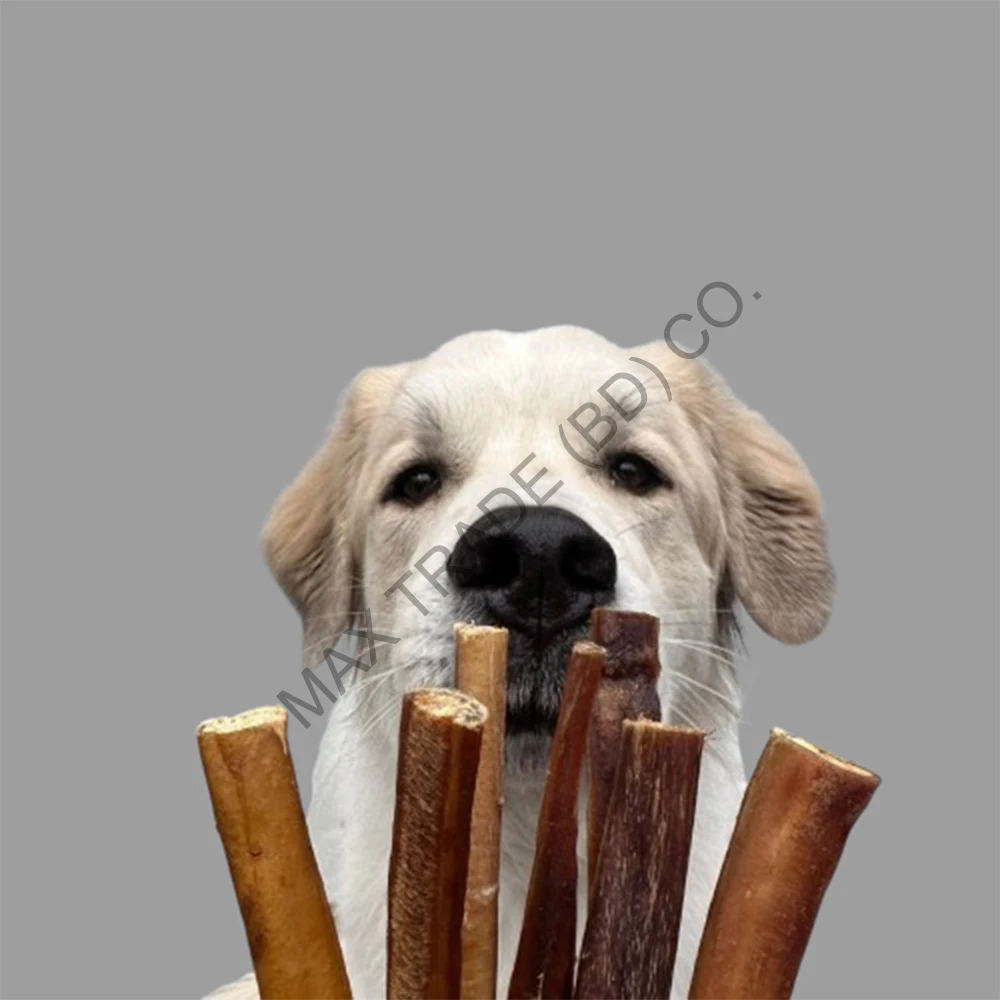 Dog Chew Natural Bully Beef Meet Stick For Pet Treat Dog Food Available at Bulk Price from Bangladesh Bully Sticks Good Flavor