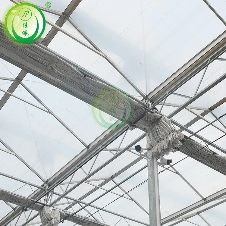 Large Agricultural Greenhouse with Motor Ventilation PCsheet Manufacturing Film Greenhouses Including Irrigation System for Sale