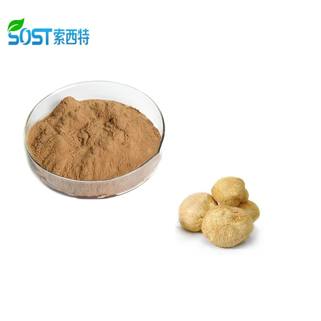 
Chinese Manufacturer Supply Bulk Hericium Erinaceus Mushroom Extract Polysaccharide 