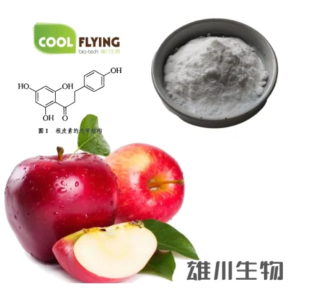 
100% natural of Apple Peel Extract Phloretin 98% C A S 60-82-2 Phenols from Coolflying 