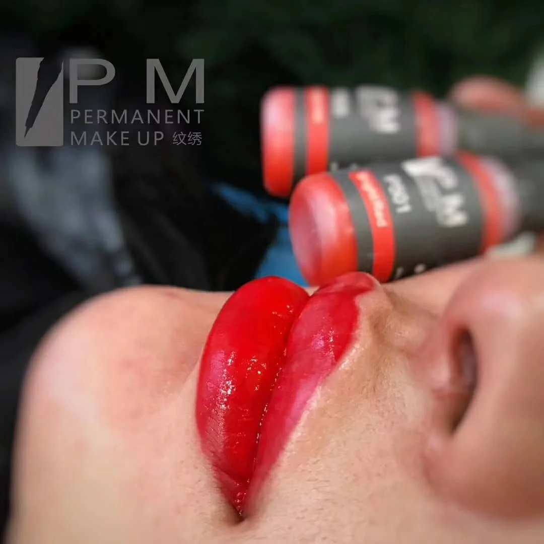 High Quality PM 73 colors Powder Brows Micropigmentation  Permanent Makeup Tattoo ink Microblading Pigment