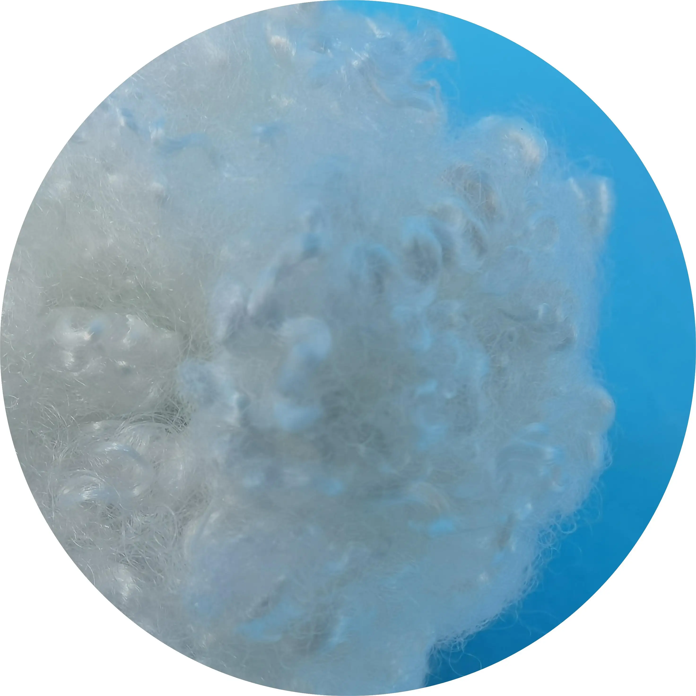 GRS Recycled Hollow Conjugated Polyester Staple Fiber for Filling