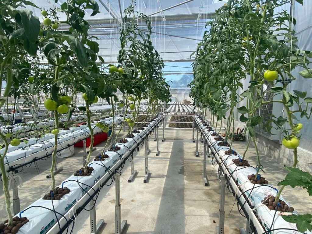 New Agriculture Hydroponic Farming System Tomato Cucumber Large Size PVC Gutter Growing Gully System with Cocopeat Growing Bag