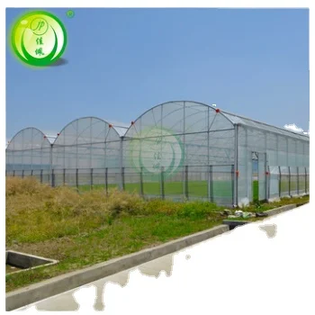 Jiapei Multi-span low cost agricultural tomato hydroponic Growing System vertical planting Cultivation flim blueberry greenhouse