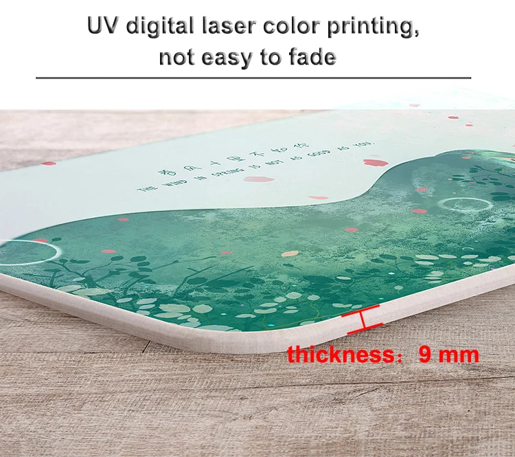 Super Absorbent Door Mat Diatomite Anti Slip Carpet