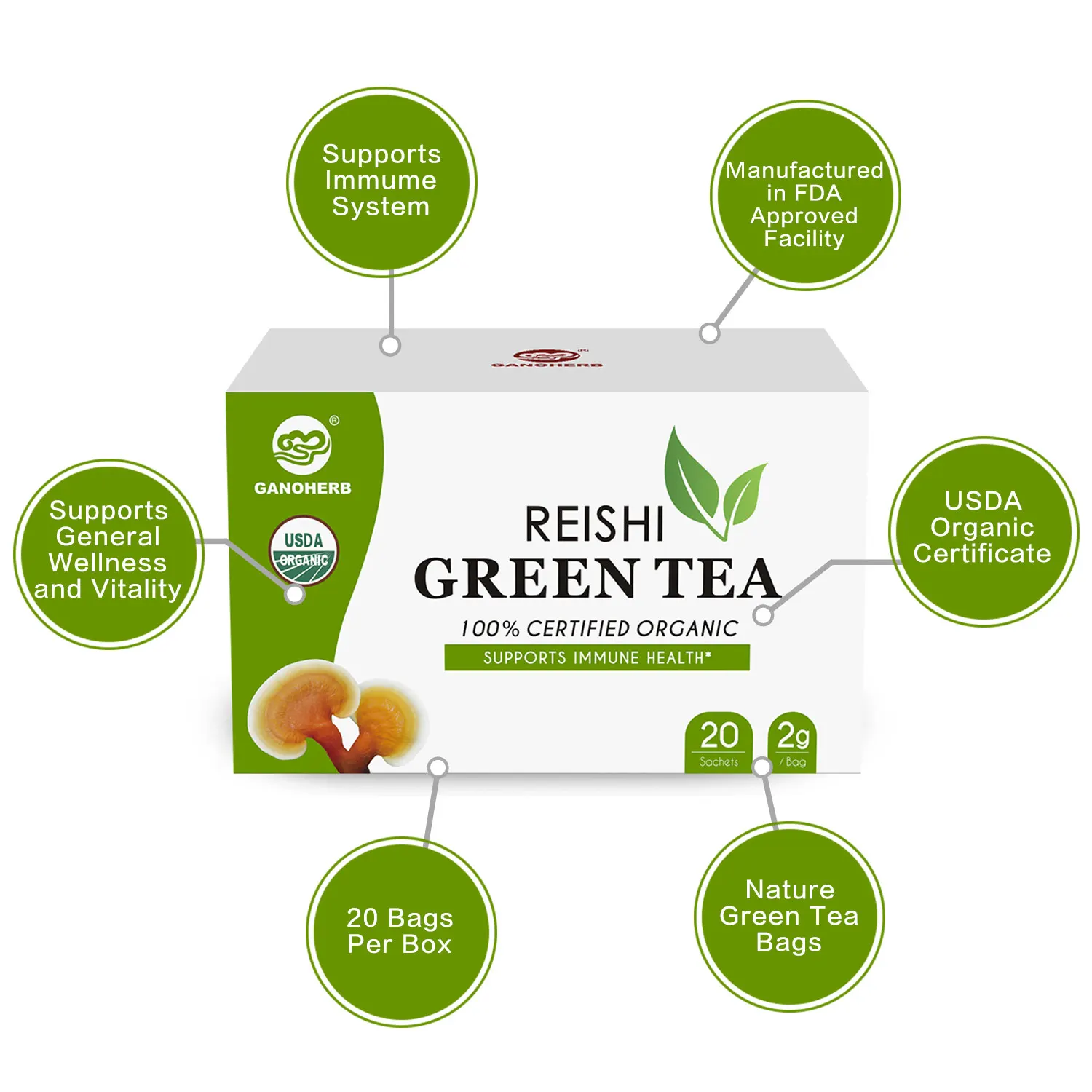 Free Sample Chinese Organic Herbal Green Tea With 100% Certified Organic Reishi mushroom In Bag Best Brands Price