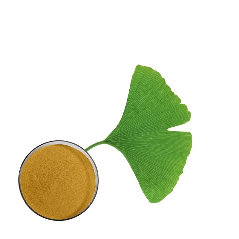 Kosher Organic Ginkgo Biloba Extract Water Soluble Dried Leaves Powder Food Grade Herbal Supplement in Drum Packaging
