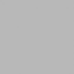 CARPOLY Wall Coating Excellent Alkali Resistance Low VOC Primer For Interior Wall Deceration