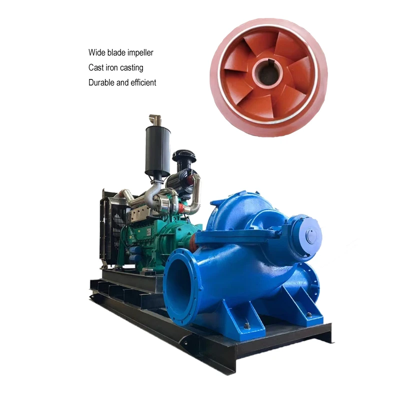 Self-Priming Centrifugal Diesel Engine Oil Pump for Irrigation and Sewage Diesel Engine Sewage Pumps