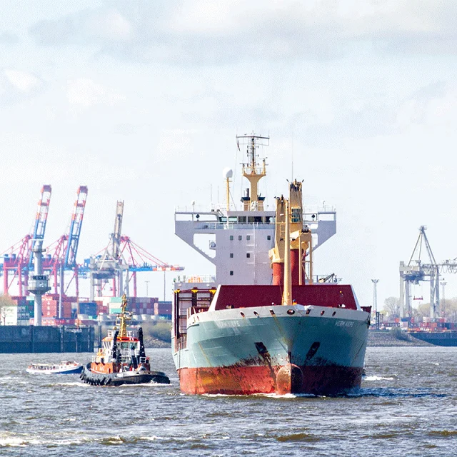 DDP DDU LCL door to door service shipping agent freight forwarder from China Shenzhen to Italy shipping