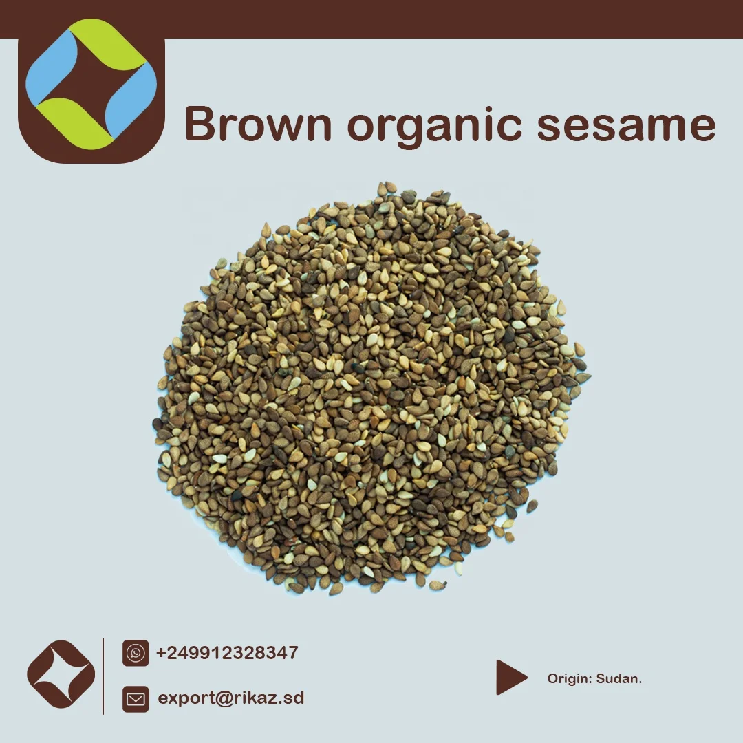 Best quality 100% organic White sesame