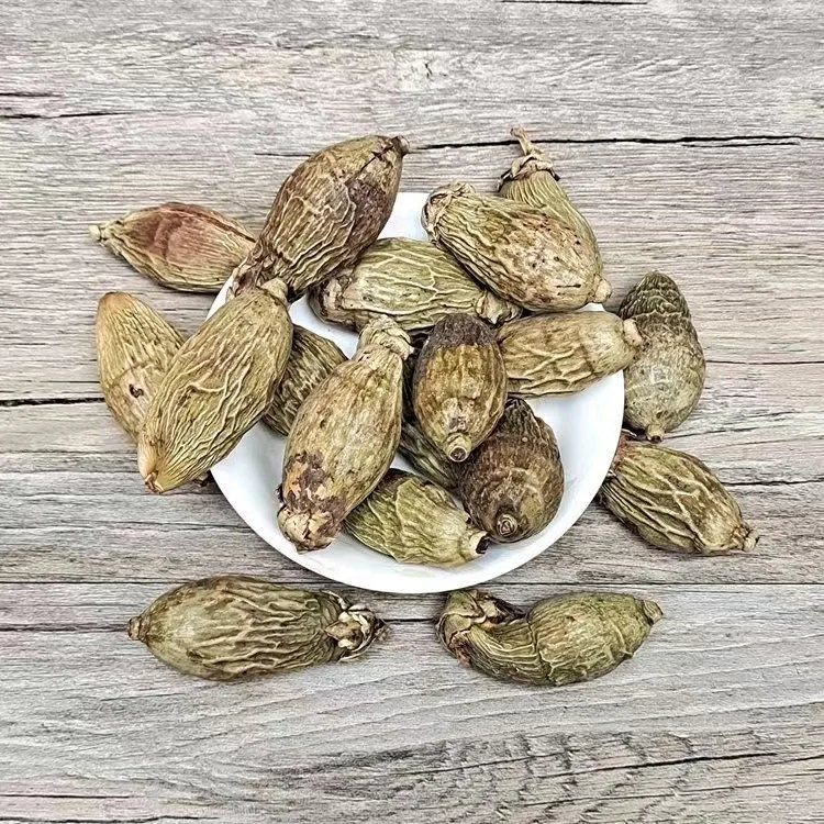 BaiXiangHui Wholesales 2024 new crop betel nut  supply good quality agricultural products betel nut