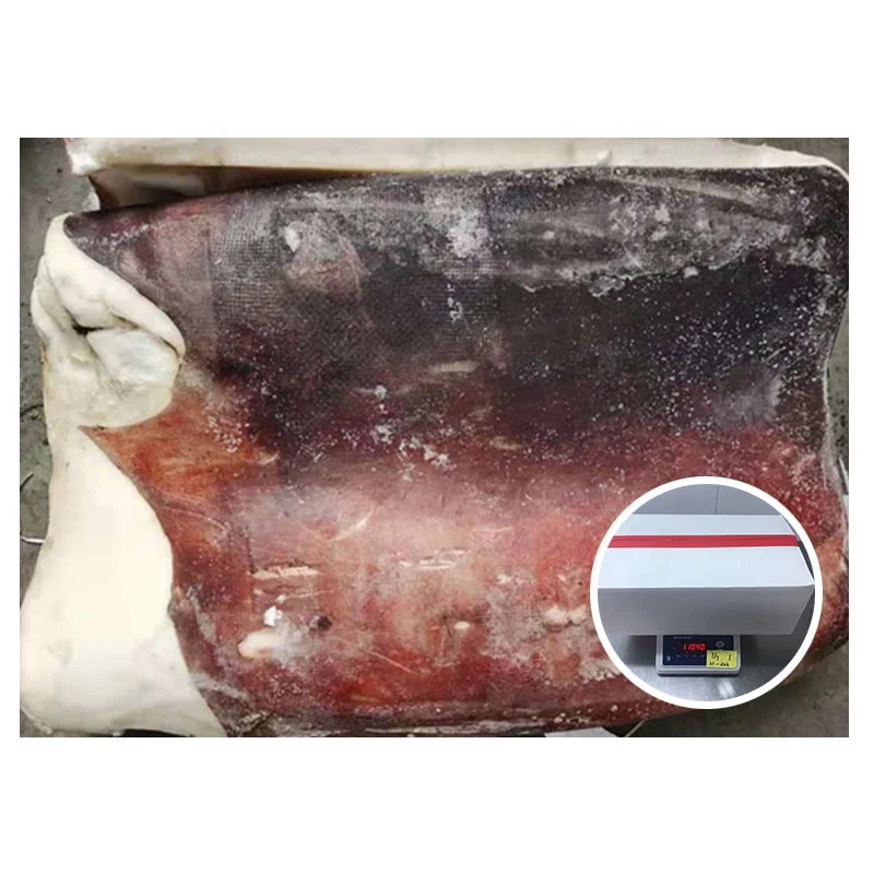 Wholesale Seafood Frozen Squid Meat With Skin Giant Squid Fillet