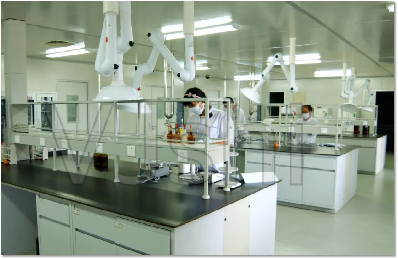 ISO Natural  High Quality Natural Broccoli seed extract 10% 20% Glucoraphanin