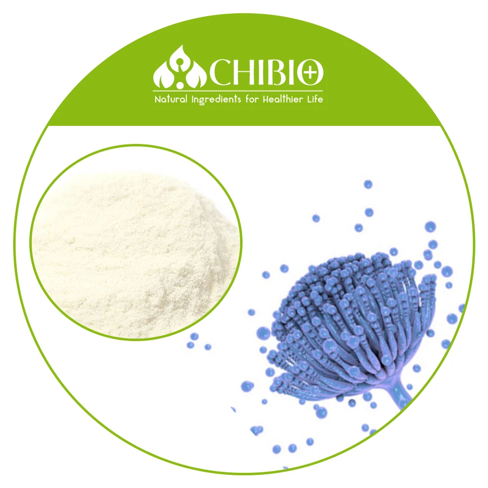 Грибковые хитозановые грибы хито Aspergillus Нигер хитозановая кислота растворимое сырье