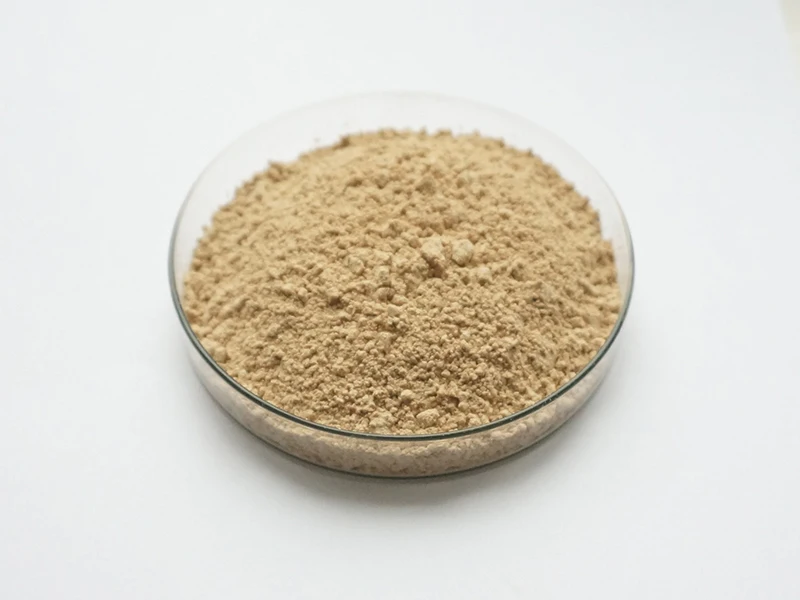 40% Soybean Extract Powder Isoflavone