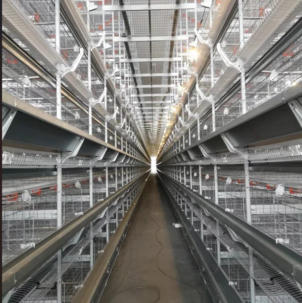 Big Herdsman Layer Hens Battery Cage H cage breeding system