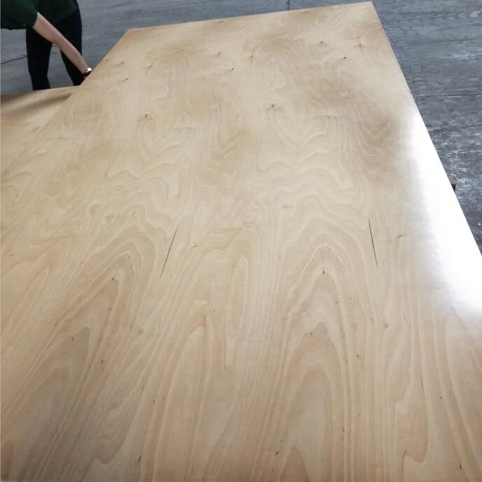 UV coated birch plywood for cabinet