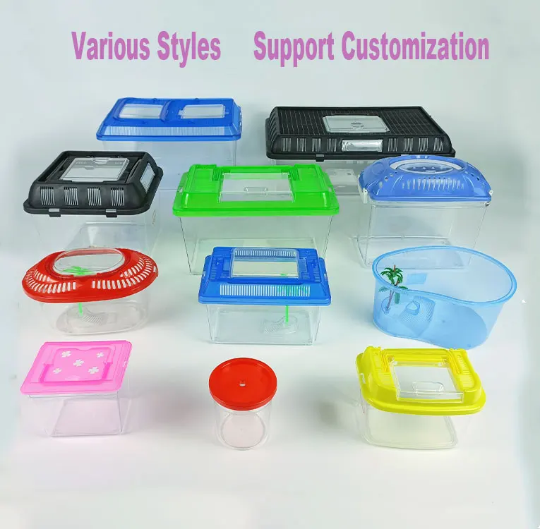 LOW MOQ Acrylic Transparent Reptile Tank Pet Feeding Box Portable Plastic Insect Terrarium  For Unicorn Beetle Baby Lizard