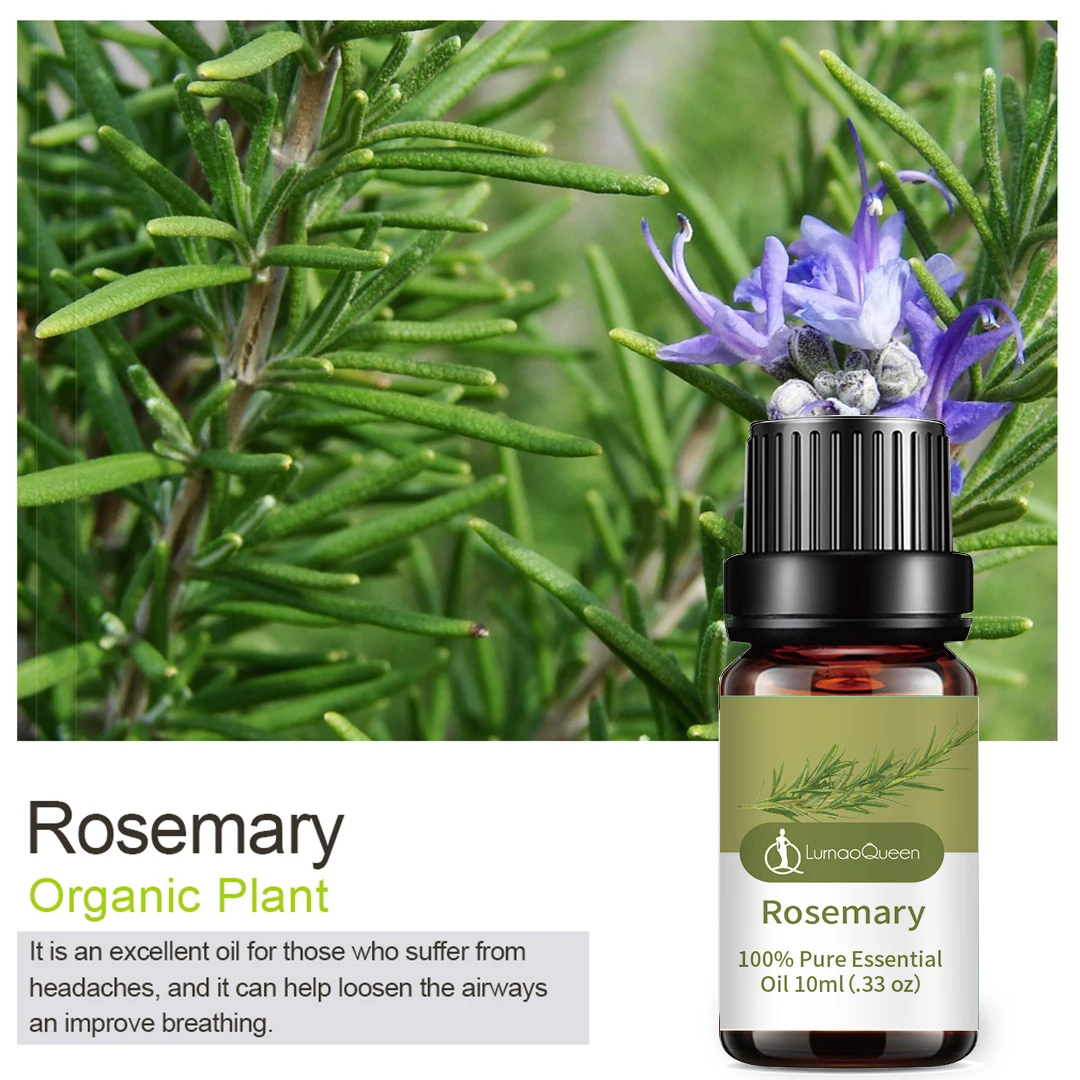 Rosemaryd natural essential oil nourishes hair roots and reduces greasy feeling essential oil