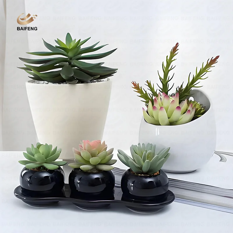 High quality wholesale ceramic potted assorted artificial succulent plants bonsai for home desk decoration