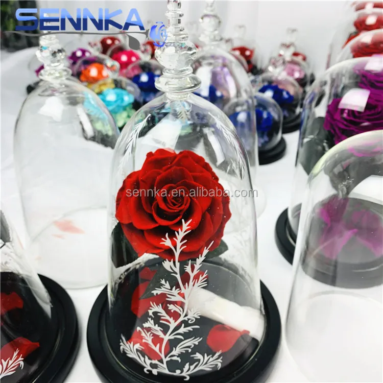 Wholesale Beauty and the Beast Design Flowers Real Natural Single Preserved Rose in Glass Dome for Wedding Decoration