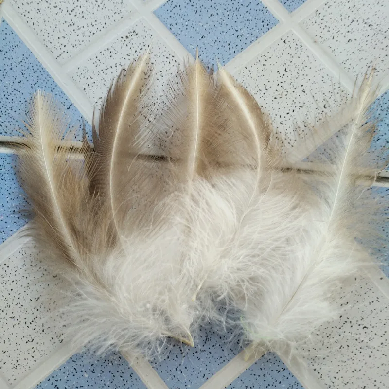 Beautiful natural eagle feathers available in various sizes 15-35 cm rare feathers are used to decorate celebrations