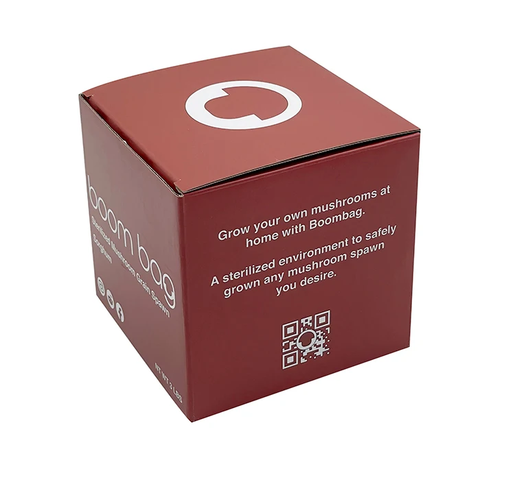 E-commerce Mailer Box Packaging Carton Plain White Shipping Delivery Box