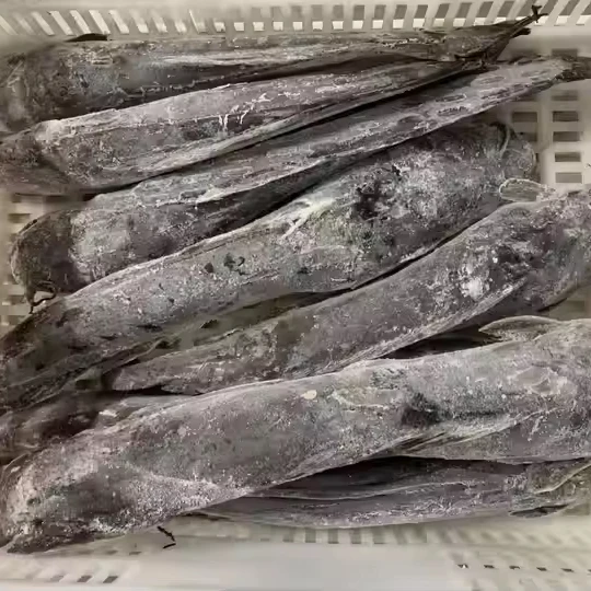 Замороженный сом объемный цельный круглый замороженный WR