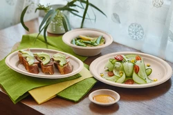 Hot Cheap Take Away Custom Disposable Plates Printed Sugarcane Disposable Plate