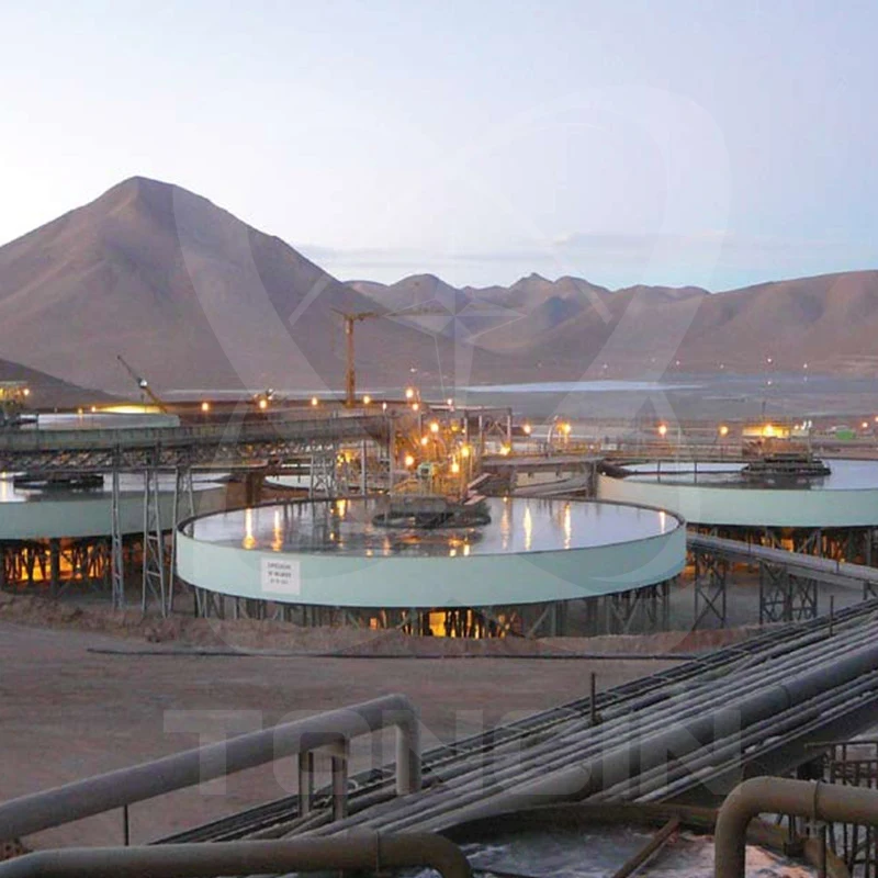 Treatment of various industrial feed pulp thickening machine thickener