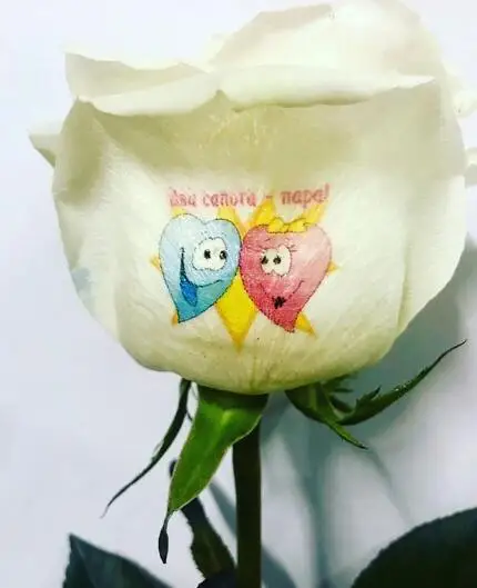 Nailgogo Hot Sale Digital Flower Printer Speaking Rose Printer