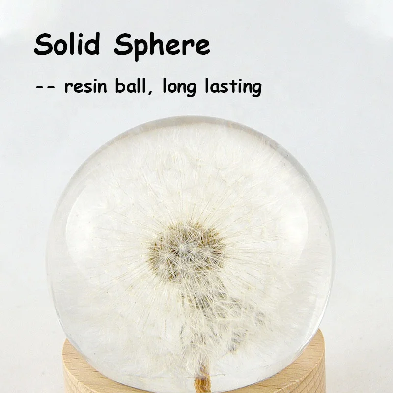 natural dried  real flowers table desk centerpiece 60mm clear resin solid sphere eternal flower crystal ball with dandelion