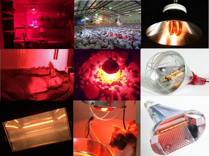 200 мм 40 Вт для птицефермы, Детские куриные утки, нагревательный обогреватель, прозрачный йод, вольфрамовая тепловая лампа