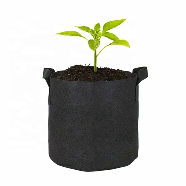New arrivals handmade biodegradable vegetable blueberry felt grow bags grow mushroom container