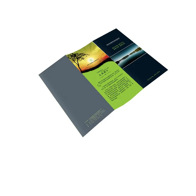 Customized printing service company profile booklet/folded leaflet/flyer