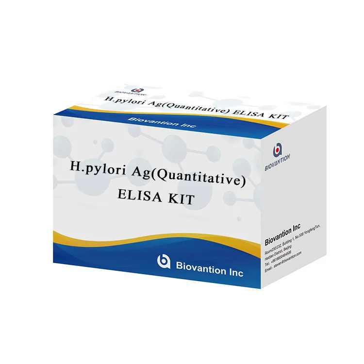 480test/kit Medical detection and diagnosis H.Pylori Ag  Helicobactor Pylori ELisa teat kit