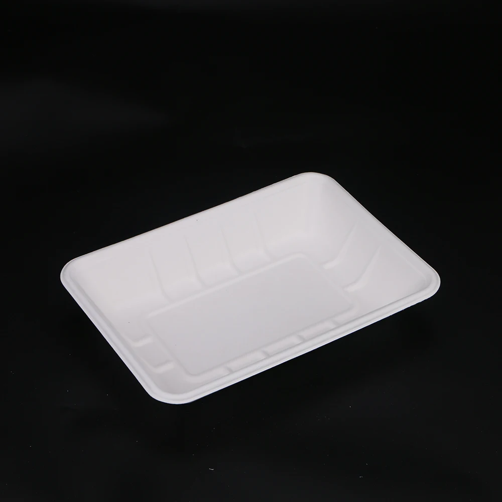 Biodegradable & Compostable Sugarcane Bagasse Rectangular Serving Sushi Tray