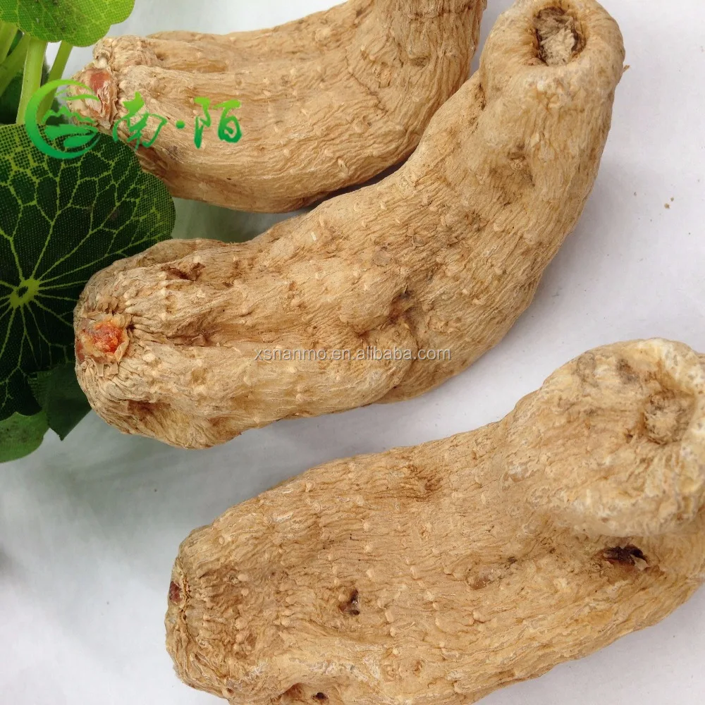 Factory supply Pure Natural Plant Rhizoma Gastrodia Elata Extract powder with best price