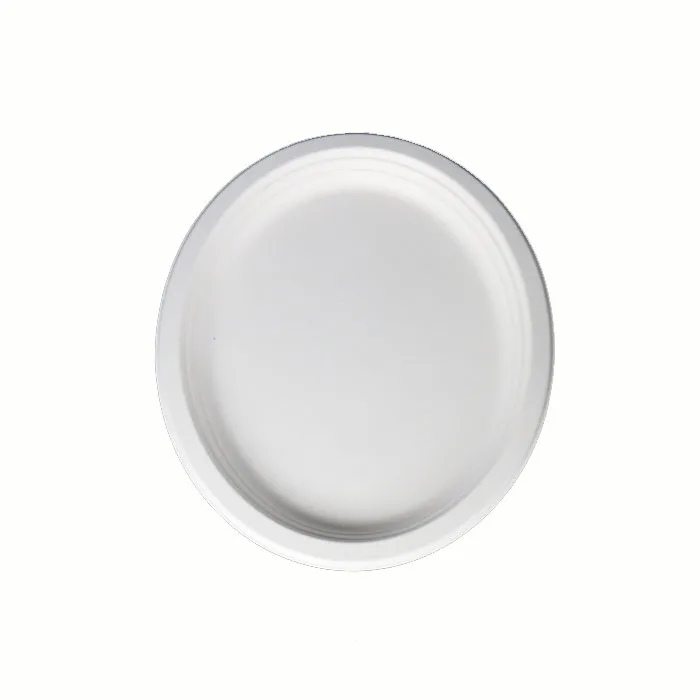 
biodegradable sugarcane fast food dishes and plates 