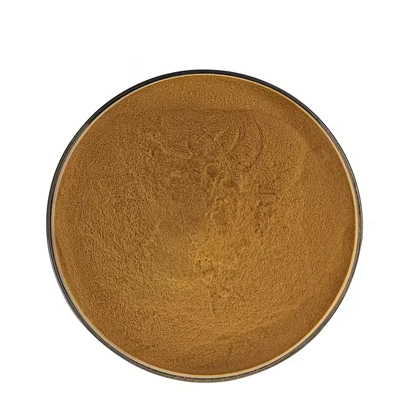Fast  echinacea purpurea extract powder Polyphenol 4% for body health
