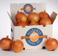 Fresh Onion In Bulk Cheap Red/Yellow Onions For Sale