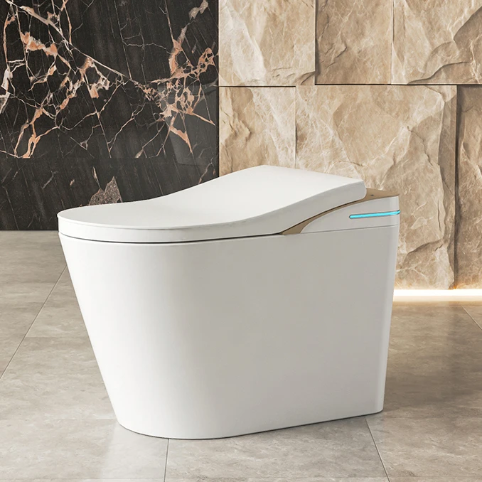 Electric Bidet Heated Smart Toilet With Sunken Water Tanka